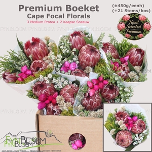 PROTEA PER BOS