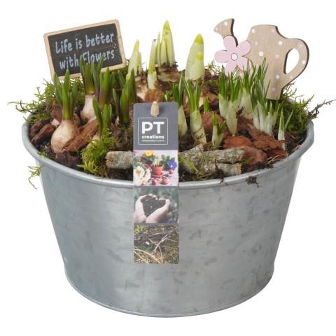 <h4>PTBM3799 Arrangement Flower Bulbs Mix in metalen pot</h4>