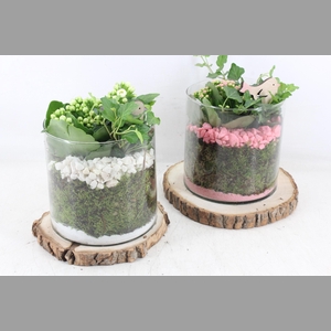 arr2 PL - Hout schijf cilinder - roze/wit