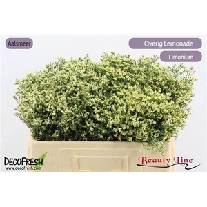 Lim Sin Sen Lemonade