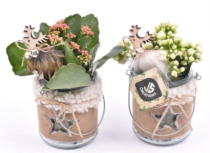 <h4>glas met leer en metaal hendel 10cm</h4>