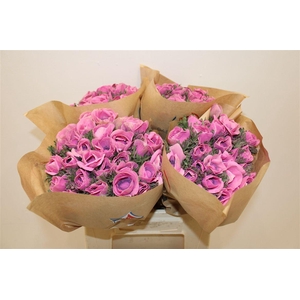 Anem Marianne Powder Fuchsia