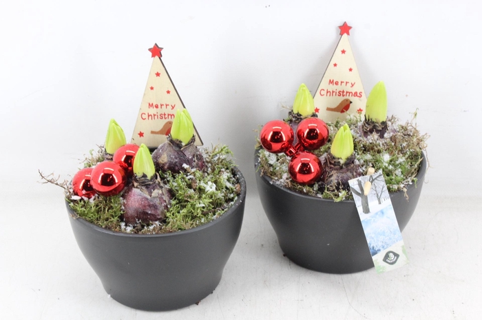 <h4>arr4 Hyacint JS - Ker. pot antraciet</h4>