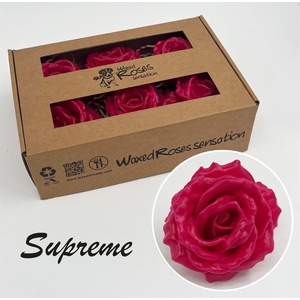 Zijde R Supreme Cerise Wx