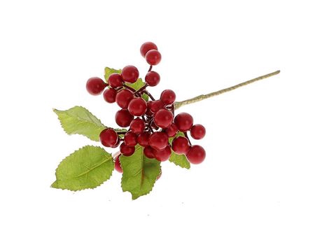 <h4>Branch Ashberry L30</h4>