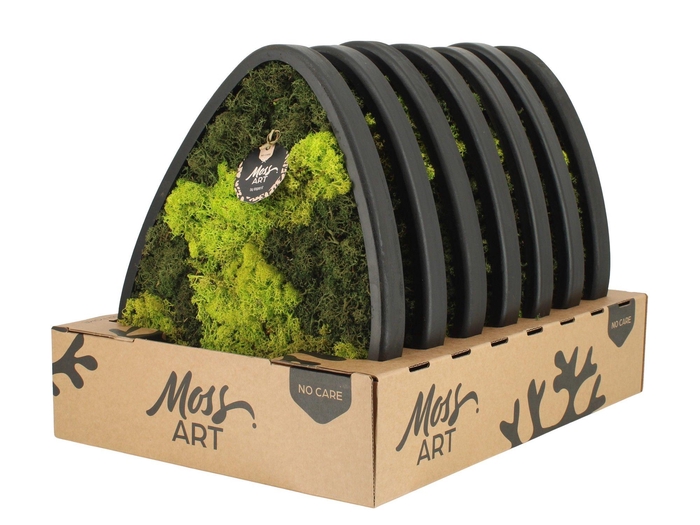 <h4>90783: Moss Art arrangement D39</h4>