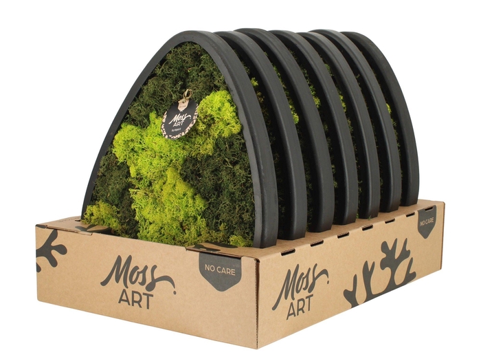 <h4>90783: Moss Art Triangle D39</h4>