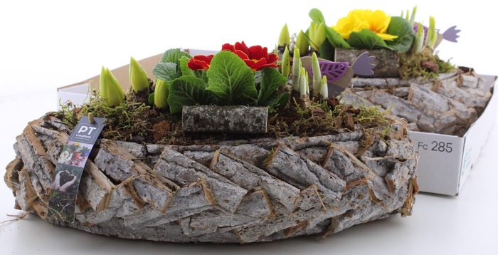 <h4>ARR PL IN SCHAAL</h4>