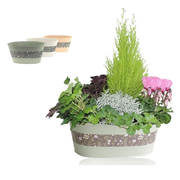 <h4>Collectie Florentina Arrangement in Zinken Schaal Ovaal 30 cm</h4>