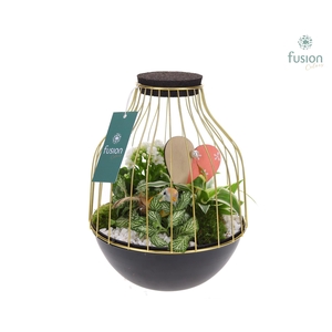 Vogelkooi metaal goudzwart Medium Love met arrangement