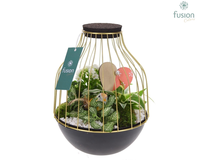 <h4>Vogelkooi metaal goudzwart Medium Love met arrangement</h4>