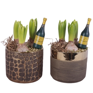 New Year Arr. Hyacint Ceramic Pure Luxury N568 Ø13cm 3PP