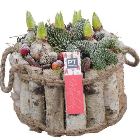 <h4>Opm Pt PTHCH6736 X-mas Hout Pot</h4>