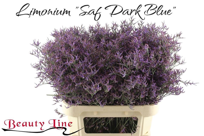 <h4>LIM SAF DARK BLUE</h4>