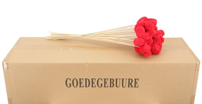 <h4>HUIS EN TUINDECO H%</h4>