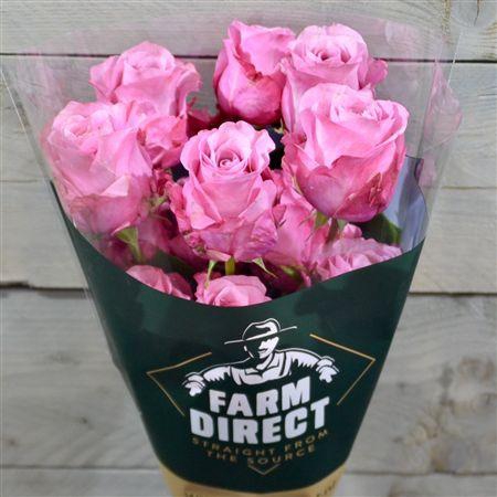 <h4>R Gr All 4 Love</h4>