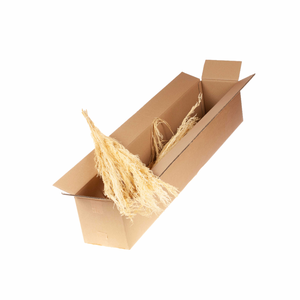 Reed Grass Sb Bleached White