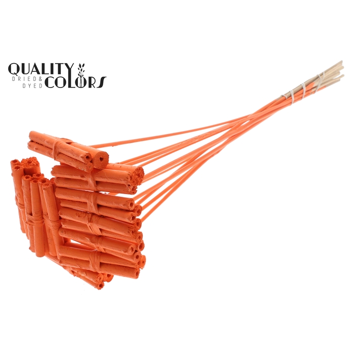 <h4>Jute Stick Posy on stem Covered Orange</h4>