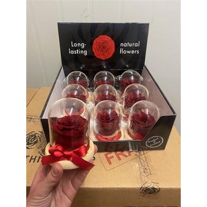 Display Dome Sarah Red01