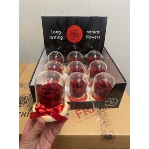 Display Dome Sarah Red01