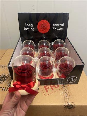 <h4>Display Dome Sarah Red01</h4>