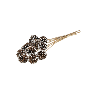 Pine C 5-7 O/s 10p Wh Tip