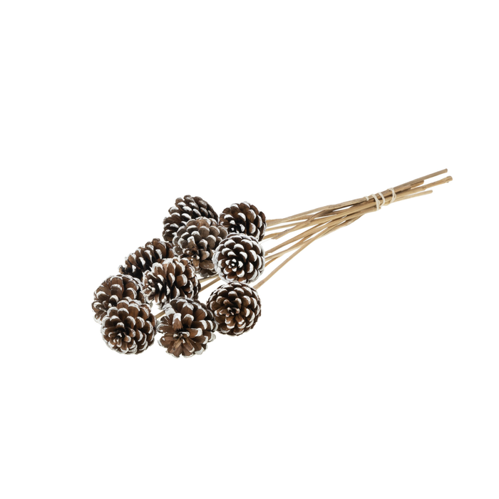 <h4>Pine C 5-7 O/s 10p Wh Tip</h4>
