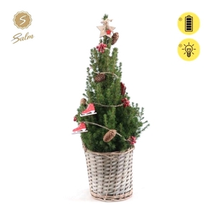 Picea gl. 'December'® P19 in Basket + Winterlight-Skate + Star on Loop