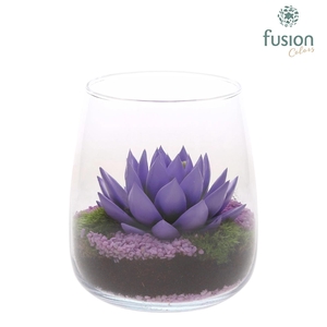 Glas Alzada met geverfde Succulent
