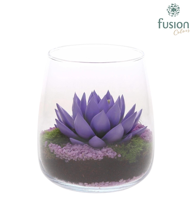 <h4>Glas Alzada met geverfde Succulent</h4>