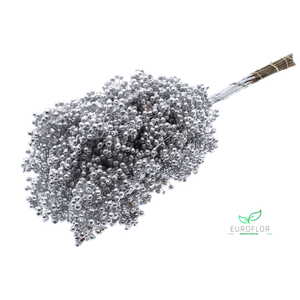 PEPPERBERRIES SILVER