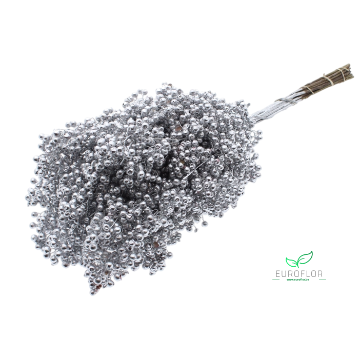 <h4>PEPPERBERRIES SILVER</h4>