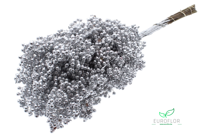 PEPPERBERRIES SILVER