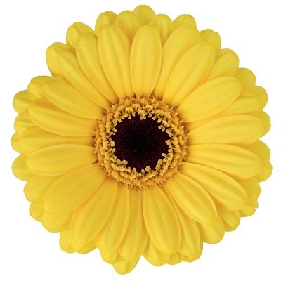 <h4>GE MI SUNSHINE Aquabox *160</h4>