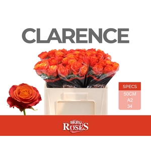 R GR CLARENCE+ @ A2