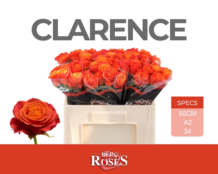 <h4>R GR CLARENCE+ @ A2</h4>