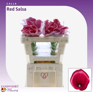 ZANT RED SALSA