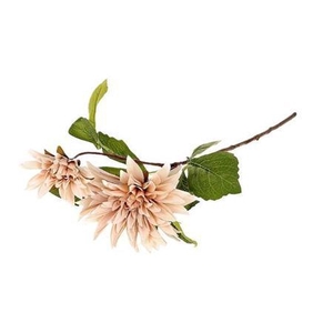 Stem Dahlia Karma L71