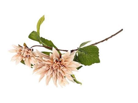 <h4>Stem Dahlia Karma L71</h4>