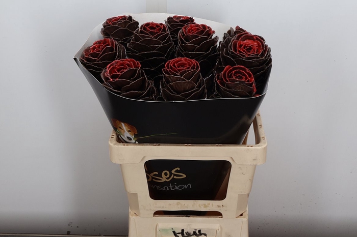 <h4>Snijgroen Brass Klb H</h4>