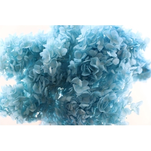 Pres Hydrangea Lightblue Bunch