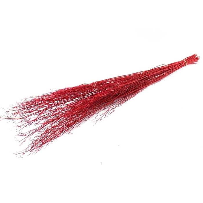 Droogbloem Mustard grass 90cm