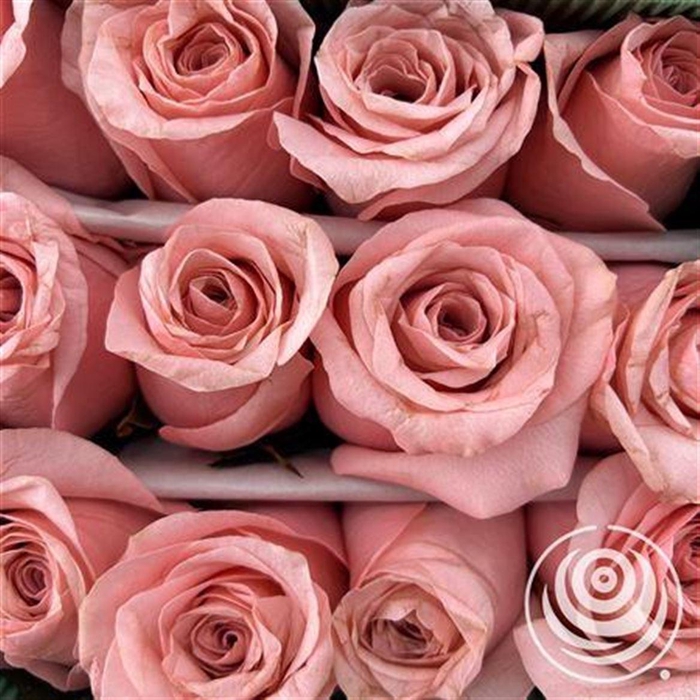 <h4>R Eq Be Sweet</h4>