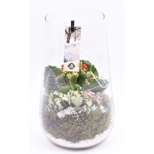 Glas cilinder 14x16cm