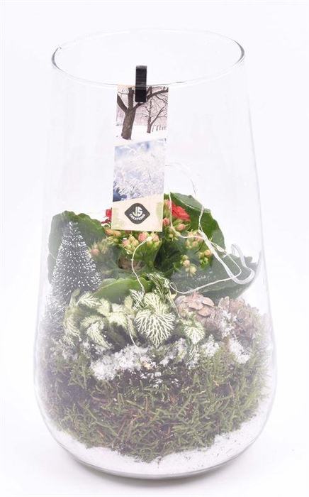 <h4>Glas cilinder 14x16cm</h4>