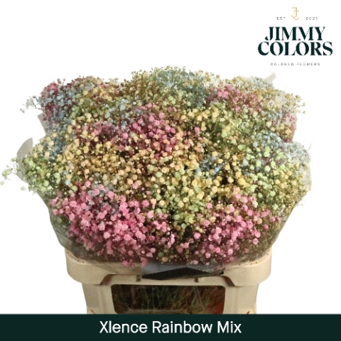 <h4>Gyps Xlence L80 Rainbow Mix</h4>