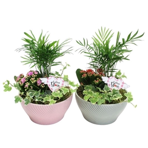 0797 KER PASTEL MIX IND