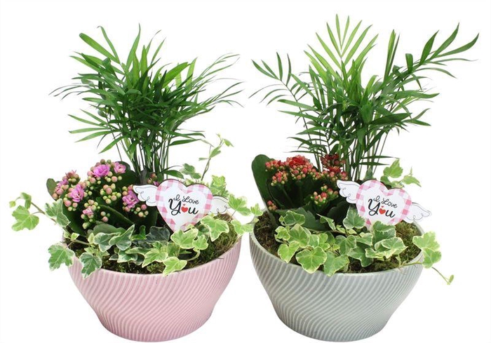 <h4>0797 KER PASTEL MIX IND</h4>