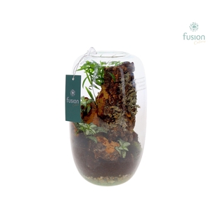 Green Bottle Isabella Medium met arrangement