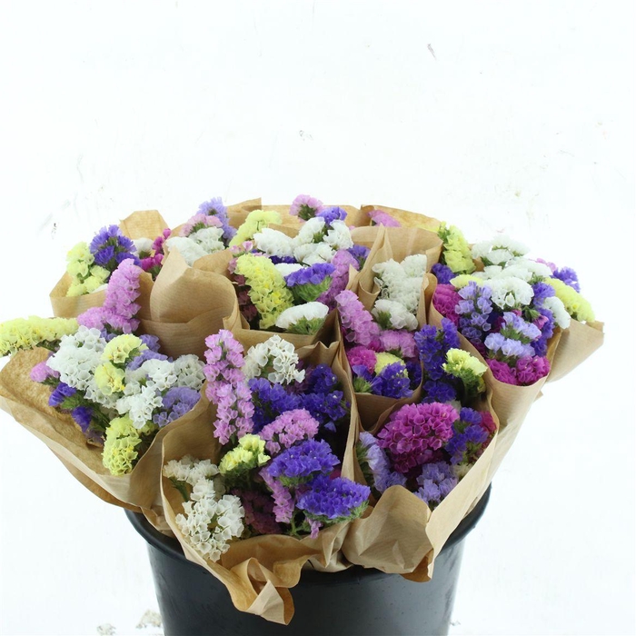 <h4>Bouquet Limonium Sinuatum Mix X5</h4>